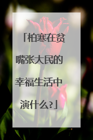 柏寒在贫嘴张大民的幸福生活中演什么?