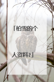 柏雪的个人资料?