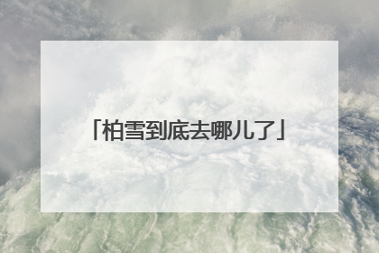 柏雪到底去哪儿了