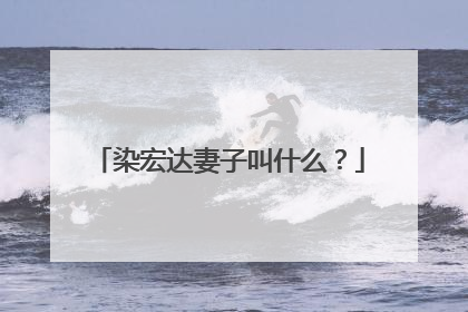 染宏达妻子叫什么?