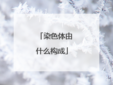 染色体由什么构成