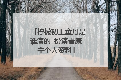 柠檬初上童丹是谁演的 扮演者康宁个人资料