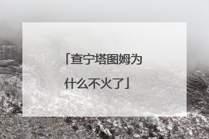 查宁塔图姆为什么不火了