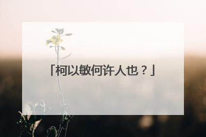 柯以敏何许人也？