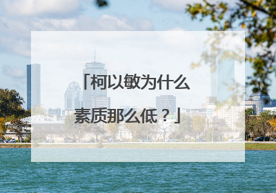 柯以敏为什么素质那么低？