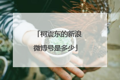 柯震东的新浪微博号是多少