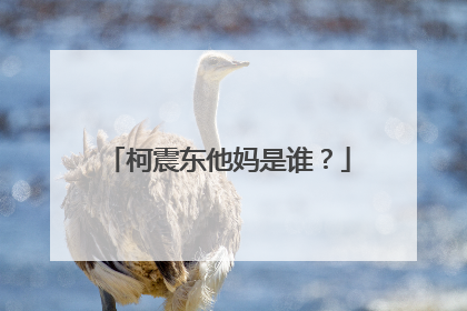 柯震东他妈是谁?