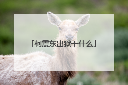 柯震东出狱干什么