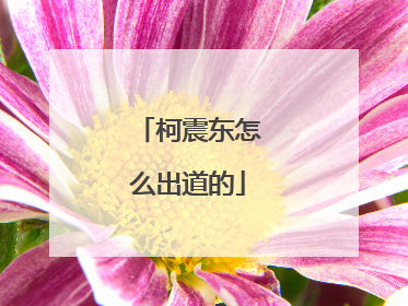 柯震东怎么出道的