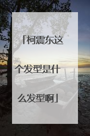 柯震东这个发型是什么发型啊