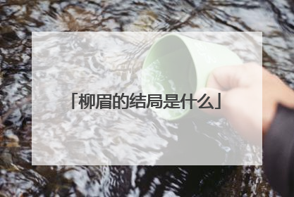 柳眉的结局是什么