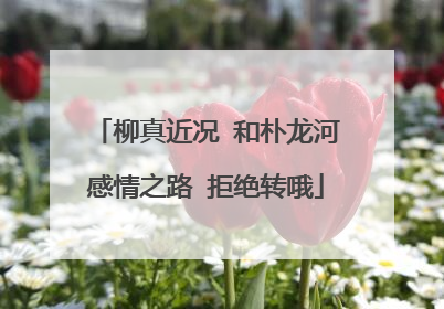 柳真近况 和朴龙河感情之路 拒绝转哦