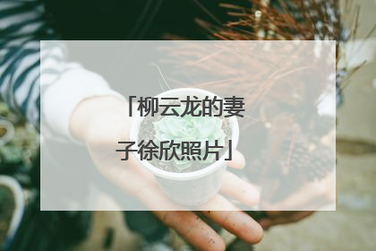 柳云龙的妻子徐欣照片