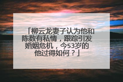 柳云龙妻子认为他和陈数有私情，跟踪引发婚姻危机，今53岁的他过得如何？