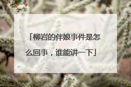 柳岩的伴娘事件是怎么回事,谁能讲一下