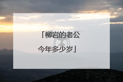 柳岩的老公今年多少岁