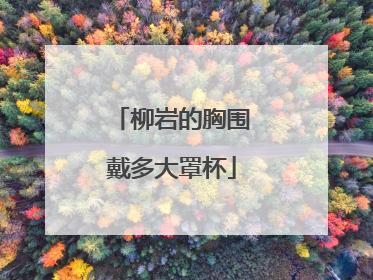 柳岩的胸围戴多大罩杯