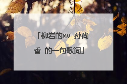 柳岩的MV 孙尚香 的一句歌词