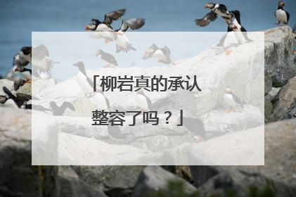 柳岩真的承认整容了吗?