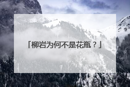 柳岩为何不是花瓶?