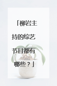 柳岩主持的综艺节目都有哪些？