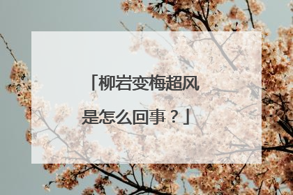 柳岩变梅超风是怎么回事？