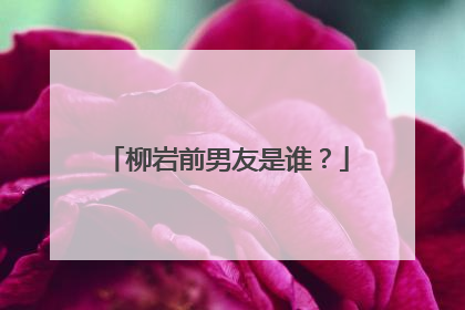 柳岩前男友是谁?