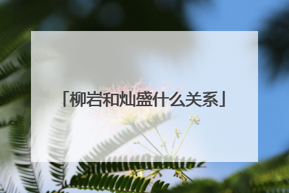 柳岩和灿盛什么关系