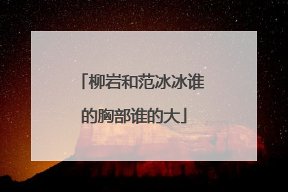 柳岩和范冰冰谁的胸部谁的大