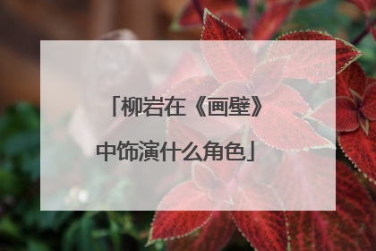 柳岩在《画壁》中饰演什么角色