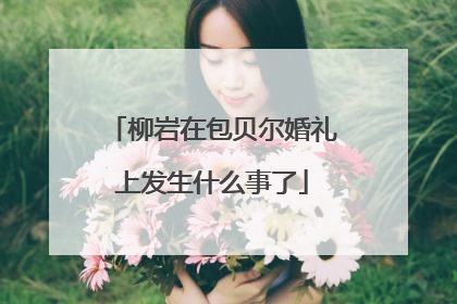 柳岩在包贝尔婚礼上发生什么事了
