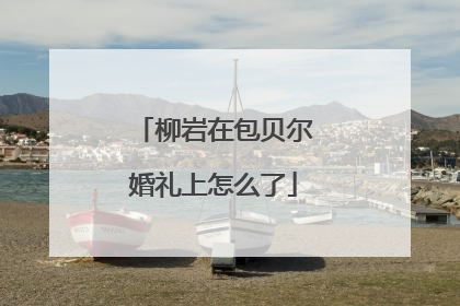 柳岩在包贝尔婚礼上怎么了