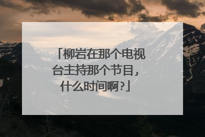 柳岩在那个电视台主持那个节目,什么时间啊?