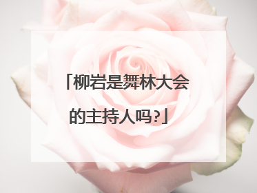 柳岩是舞林大会的主持人吗?