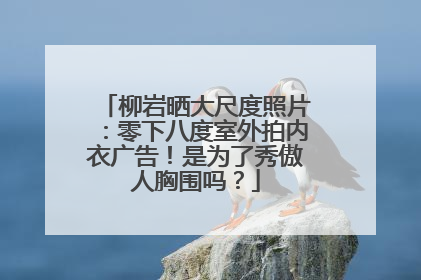 柳岩晒大尺度照片：零下八度室外拍内衣广告！是为了秀傲人胸围吗？