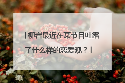 柳岩最近在某节目吐露了什么样的恋爱观?