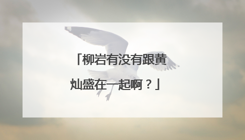 柳岩有没有跟黄灿盛在一起啊？