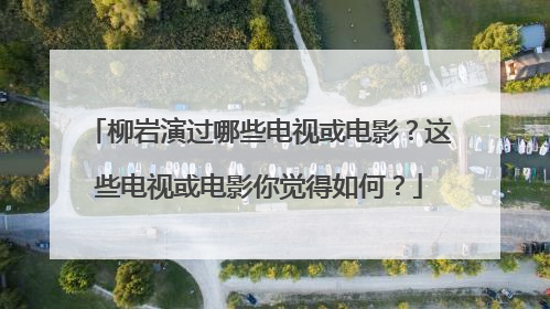 柳岩演过哪些电视或电影?这些电视或电影你觉得如何?