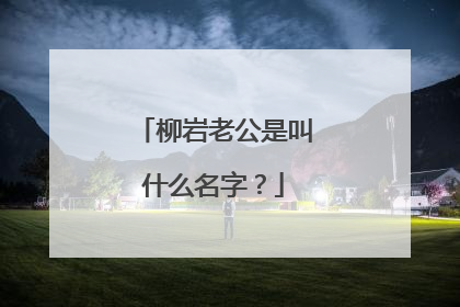 柳岩老公是叫什么名字？