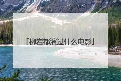 柳岩都演过什么电影