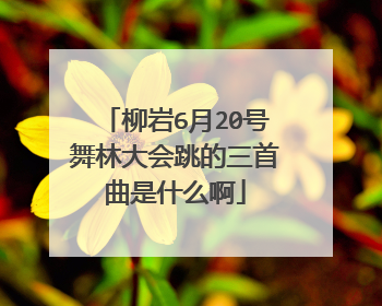 柳岩6月20号舞林大会跳的三首曲是什么啊