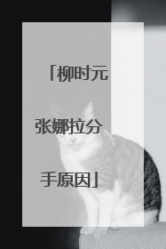 柳时元张娜拉分手原因