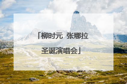 柳时元 张娜拉 圣诞演唱会