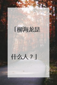 柳海龙是什么人？