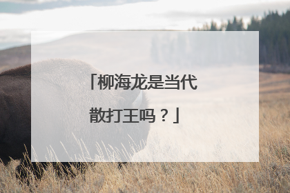 柳海龙是当代散打王吗？