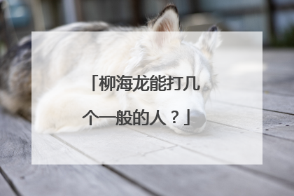 柳海龙能打几个一般的人?