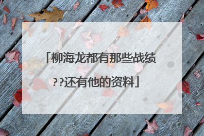 柳海龙都有那些战绩??还有他的资料