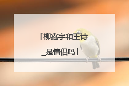 柳鑫宇和王诗_是情侣吗