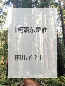 柯震东是谁的儿子?