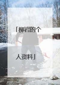 柳岩的个人资料